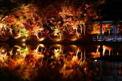 紅葉鏡