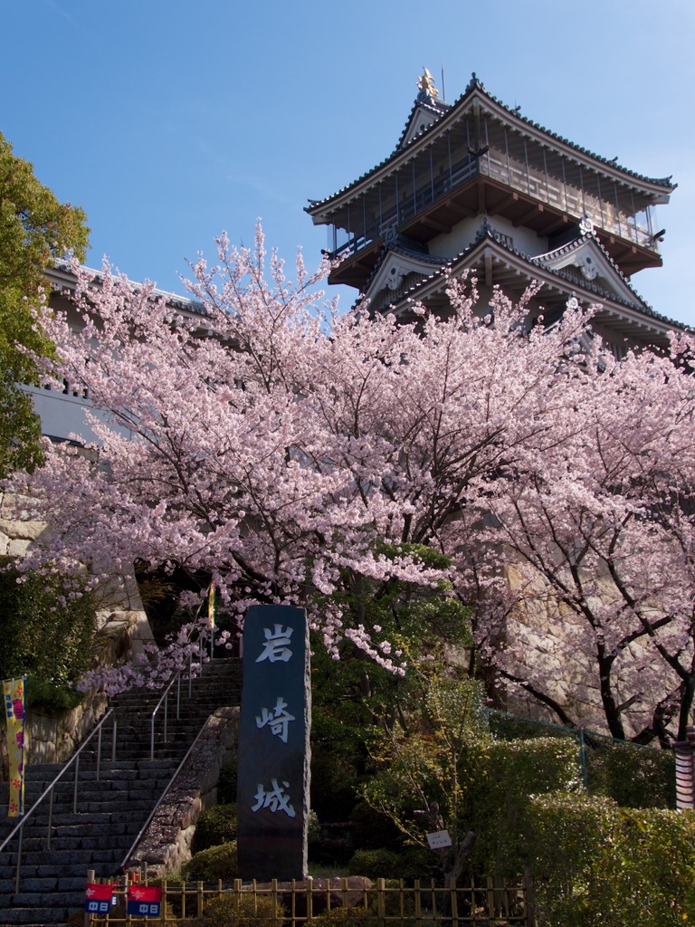 岩崎城と桜