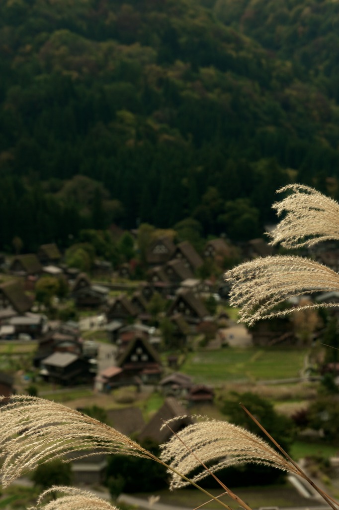 白川郷の秋