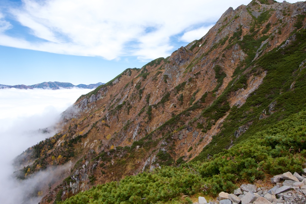 雲上の山肌