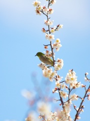 春の陽気