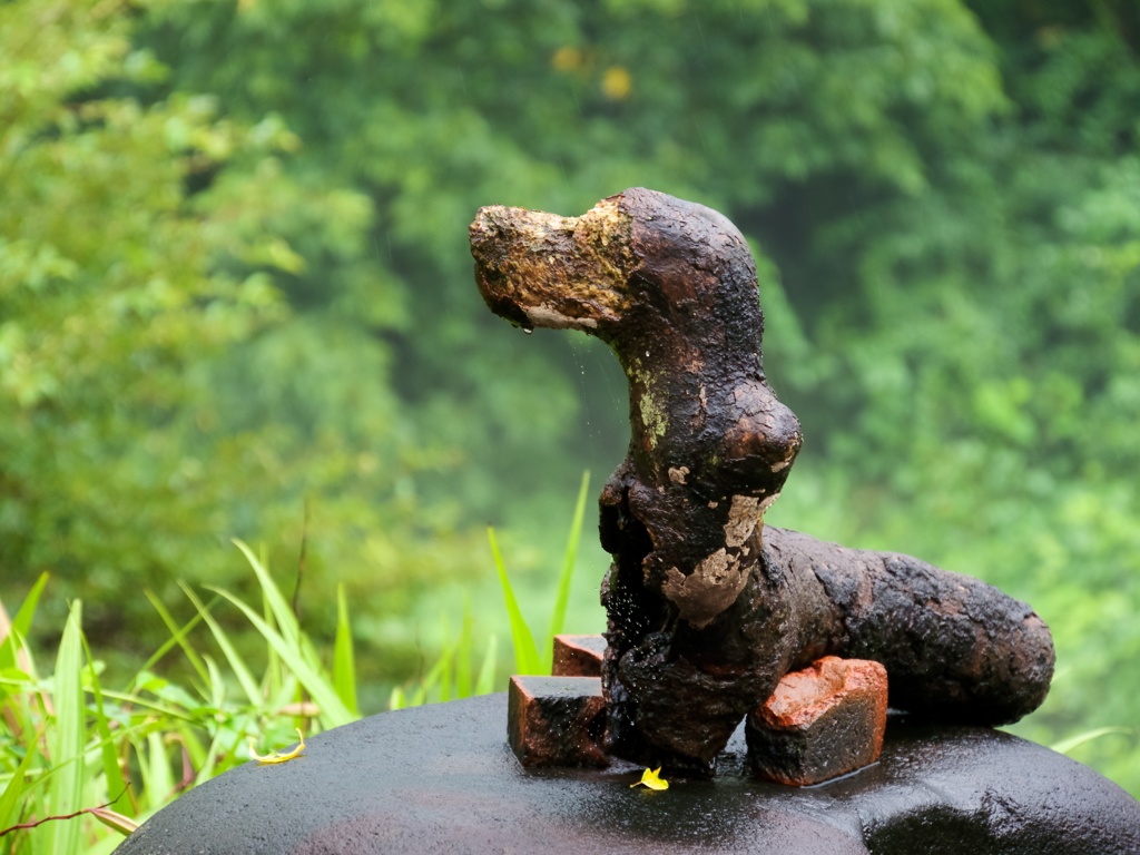 ミニチュアダックスフンド