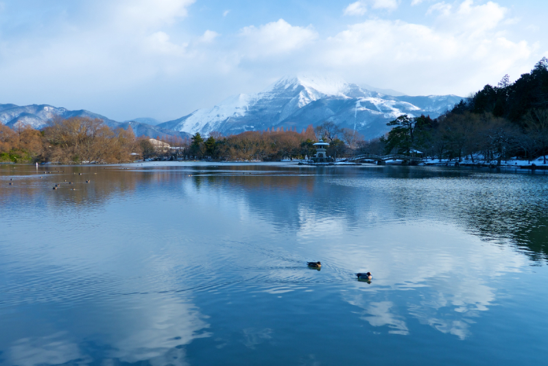 伊吹山映える