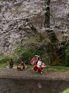 駒つなぎの桜奉納舞