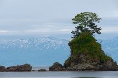 雨晴海岸