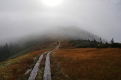 霧立つ高原