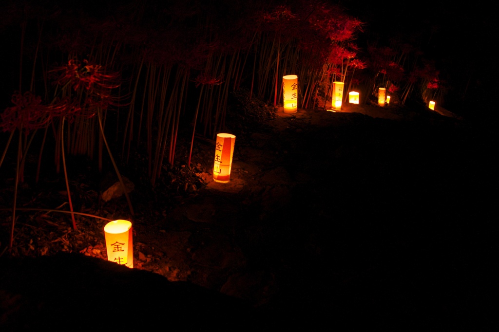 灯籠祭り