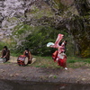 駒つなぎの桜奉納の舞