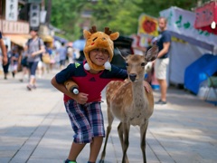 鹿の兄弟