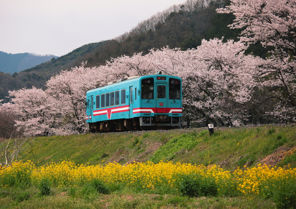 ローカル線を訪ねて