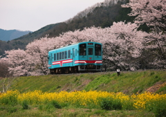 ローカル線を訪ねて