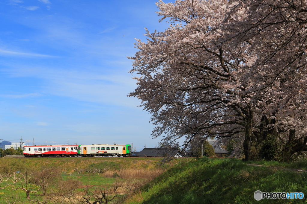 春色電車 2