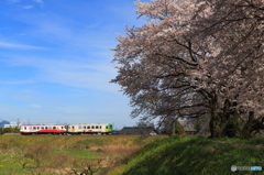 春色電車 2