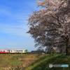 春色電車 2
