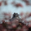 城と桜　その２