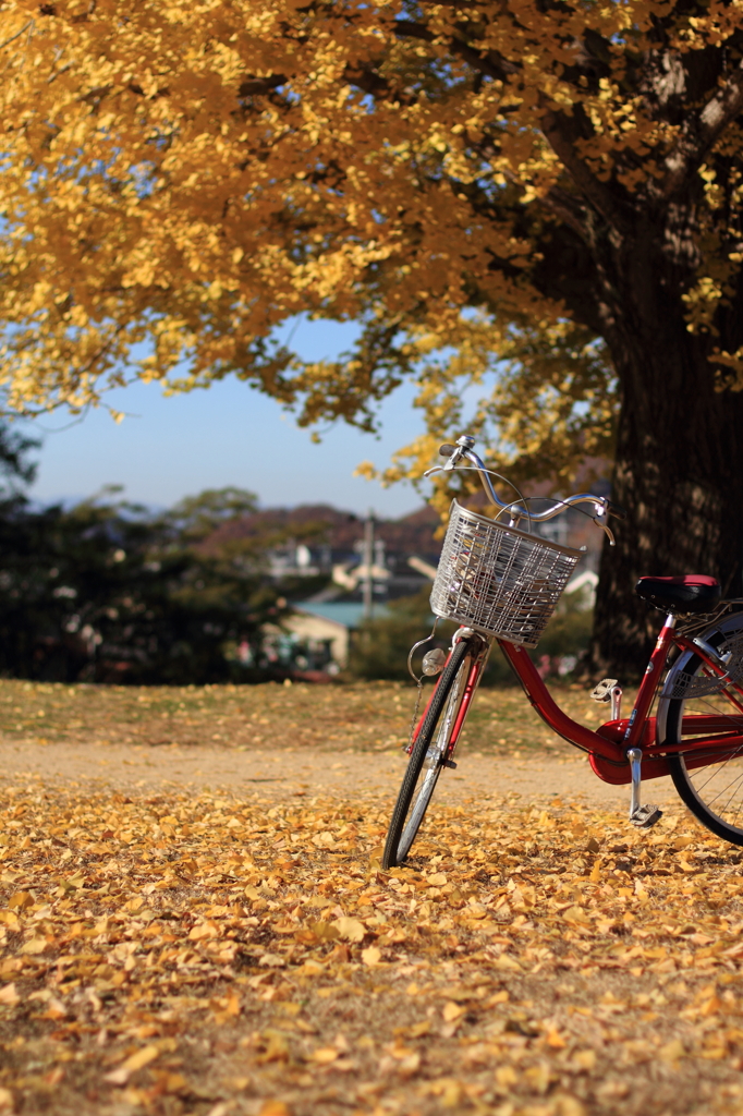 赤い自転車