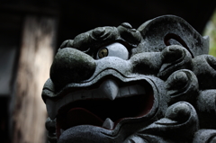 眼力