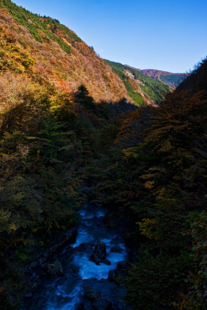 日の当たらない渓谷