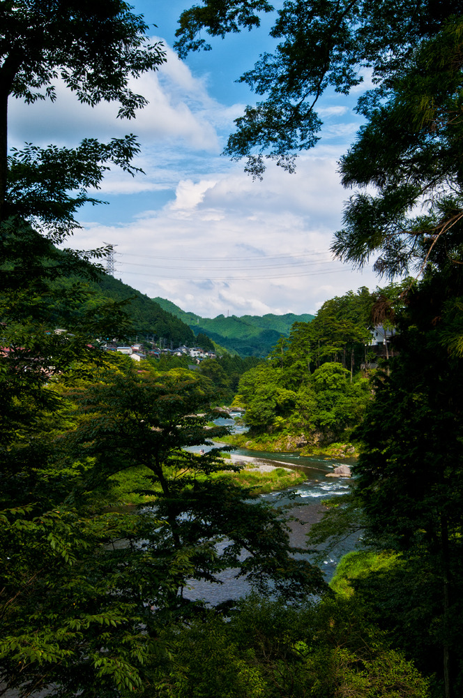 暑中お見舞い申し上げます。