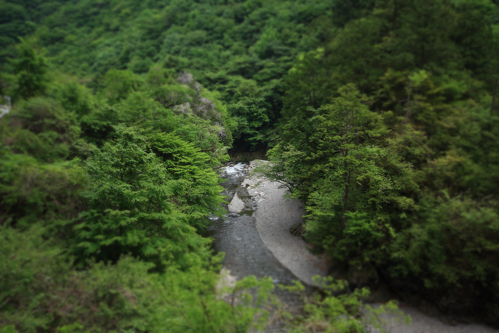 箱庭ではなく箱渓流