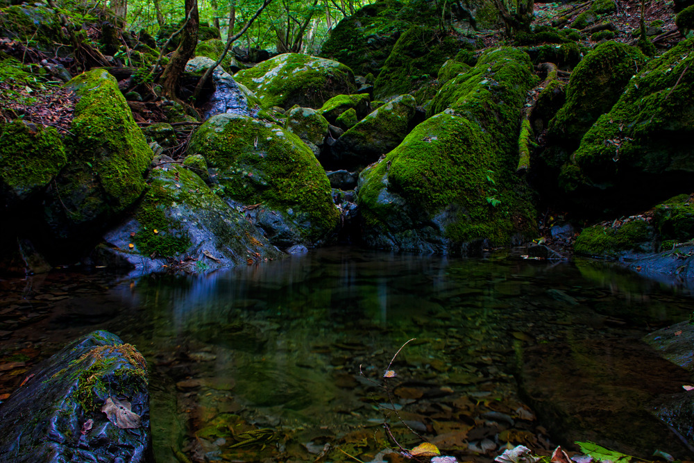 水と緑の庭園