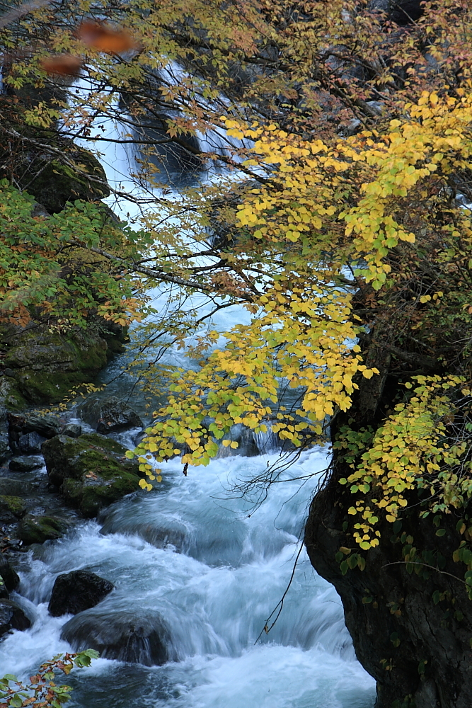 秋の日原