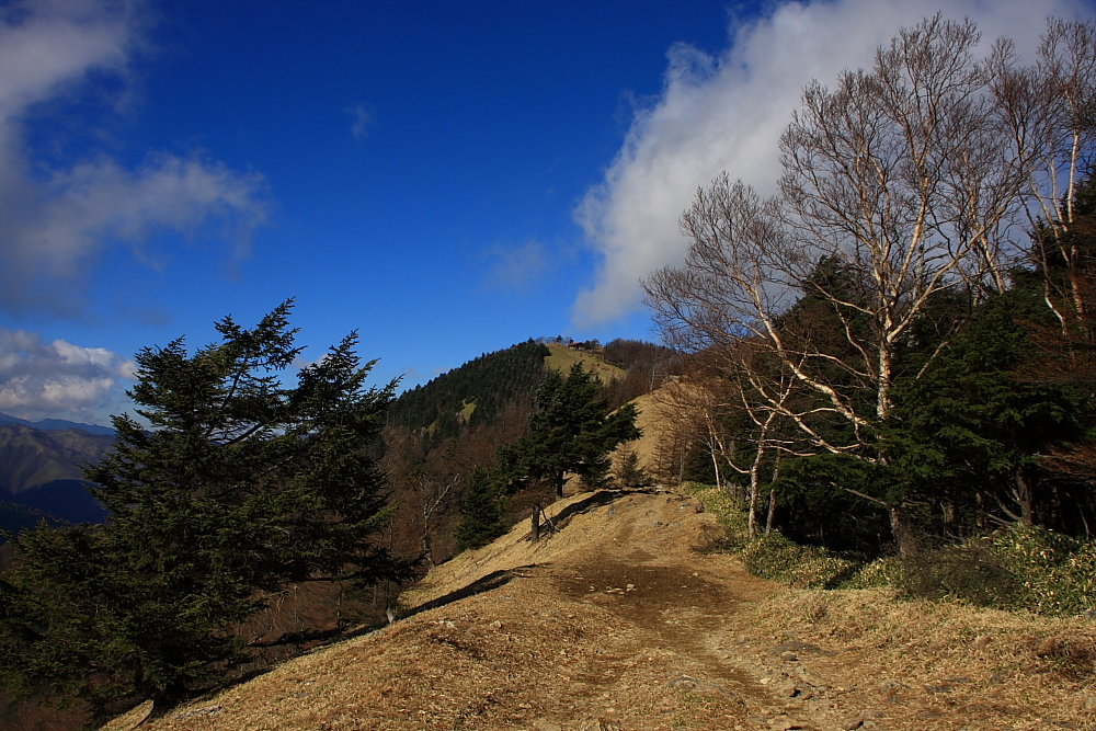 雲取山を望む