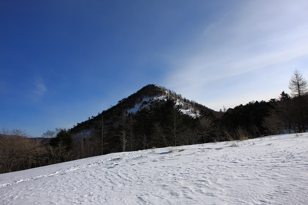 雪化粧の笠取山