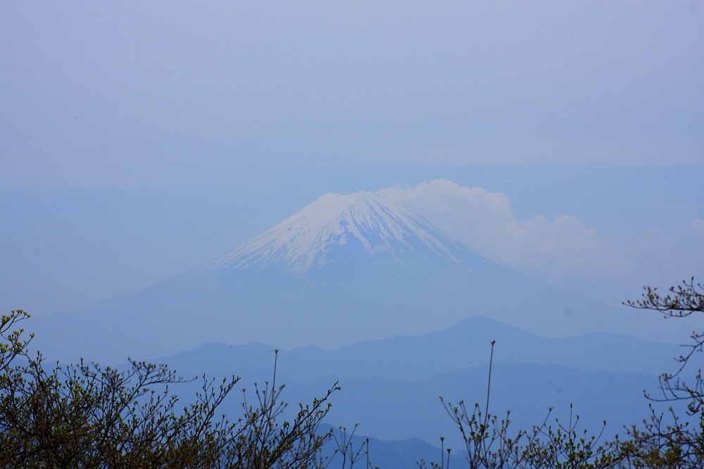 かろうじて・・・