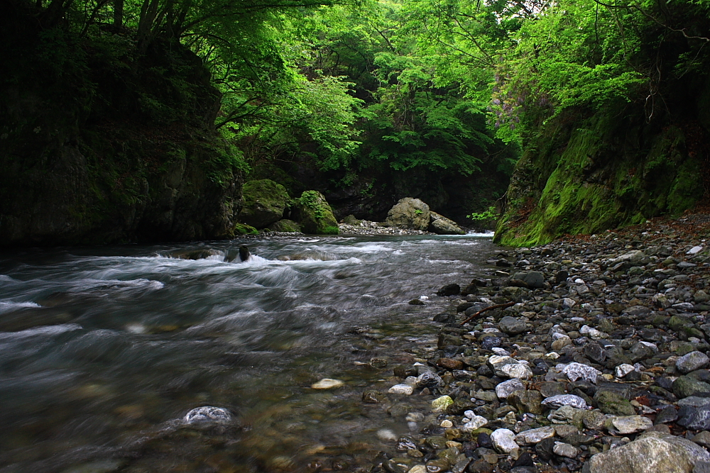 日原川