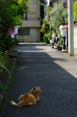 あついねえ