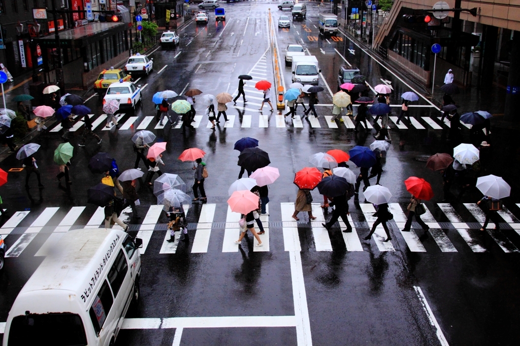 雨の日の彩り