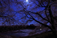 月夜の韮神堰