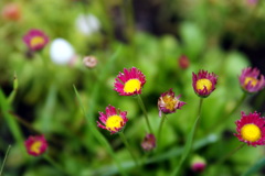 DSC00930