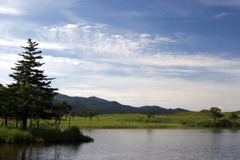 DSC01550