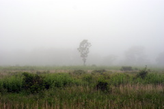 DSC01019