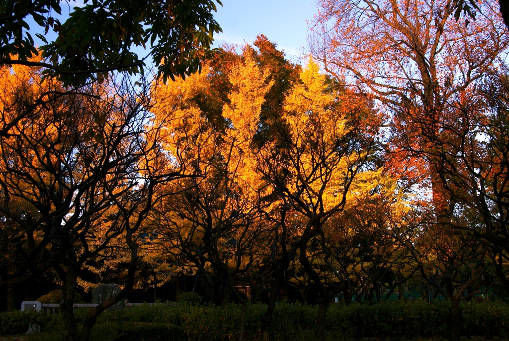 DSC02537