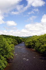 DSC00990