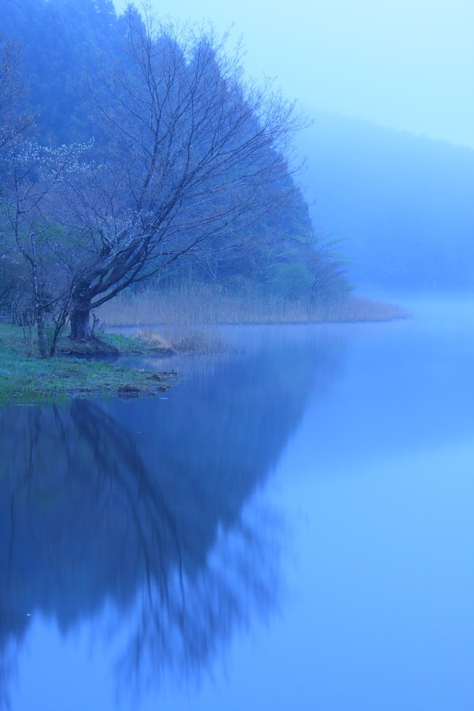 早春の湖畔