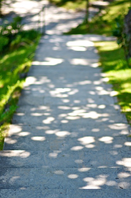 natural bokeh