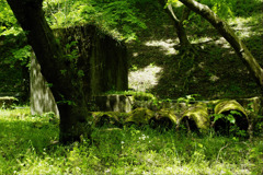 green power