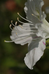 photo575353