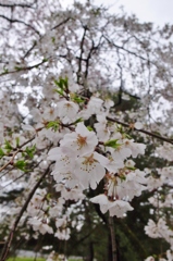 R0014565