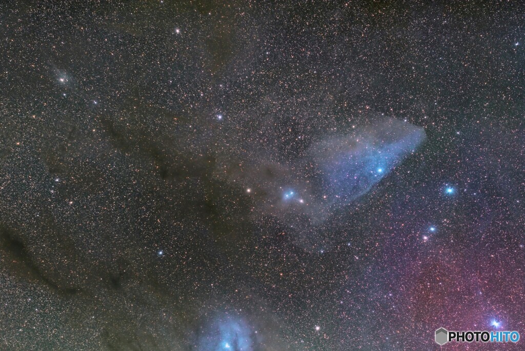 青い馬頭星雲