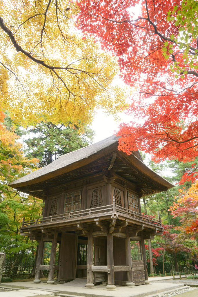 古刹　平林寺の紅葉