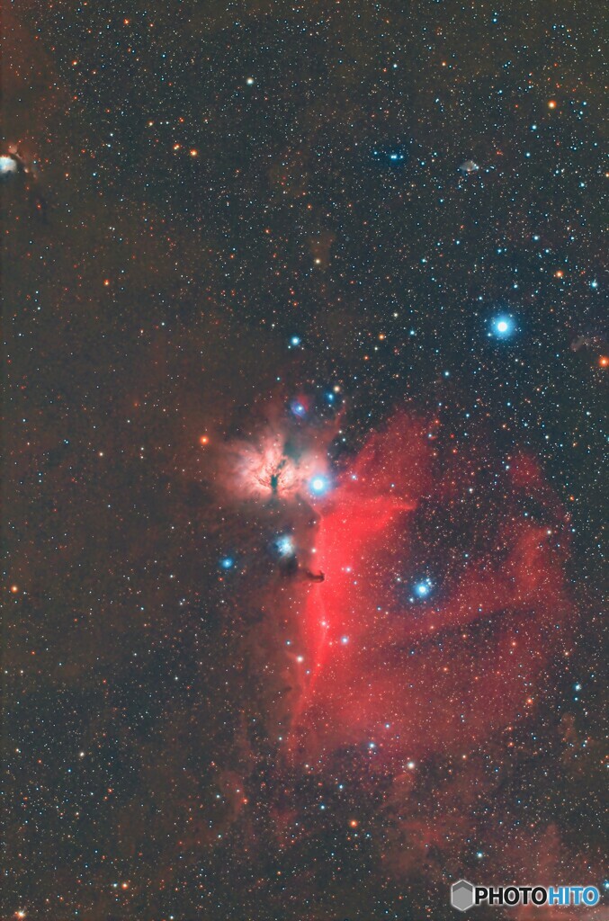 オリオン馬頭星雲