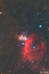 オリオン馬頭星雲