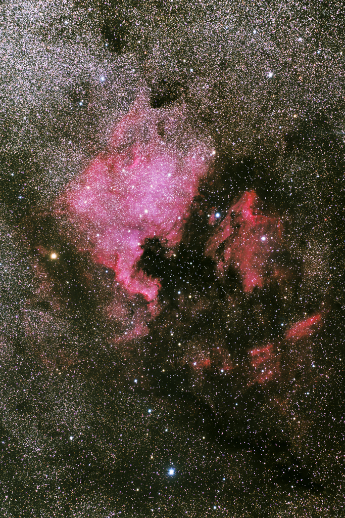 白鳥座　北アメリカ星雲とペリカン星雲