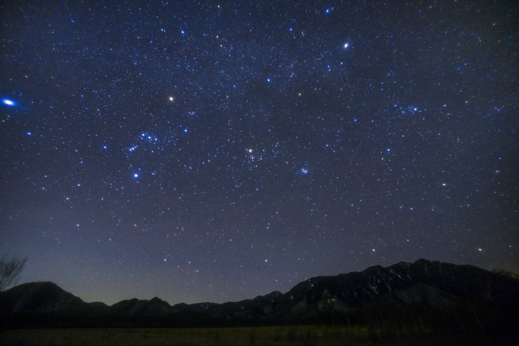 冬の星たち