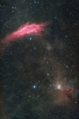 カリフォルニア星雲とIC348